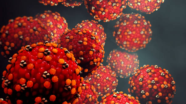Measles virus or virus 3d illustration Measles virus or virus measles stock pictures, royalty-free photos & images