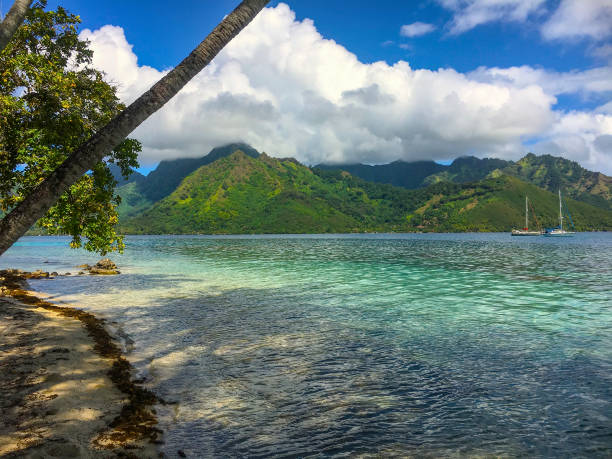istock Opunohu Bay afternoon 1034587304