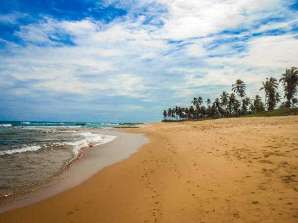 istock Tropical landscape - Salvador - Bahia 1034595044