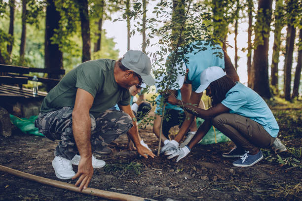 istock Volunteers Planting Tree In Park 1034597666