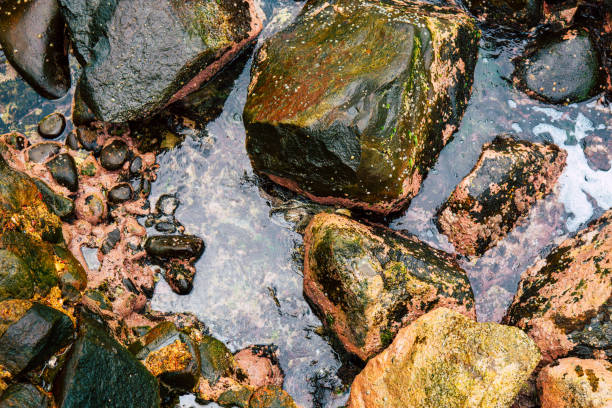 istock Stones texture and background. Rock texture close up 1034600970