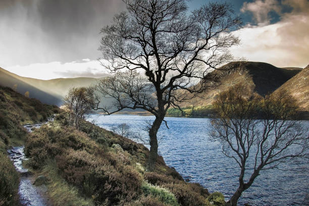 loch muick, scozia - loch foto e immagini stock