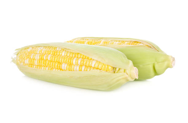 istock fresh bicolors sweet corn on white background 1034623080