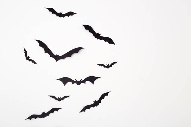 34,000+ Bat Silhouette Stock Photos, Pictures & Royalty-Free Images ...