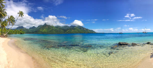 istock Opunohu Bay panorama 1034627120
