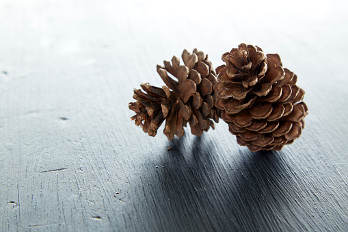 Closeup of two pine cone on a wooden table natural background