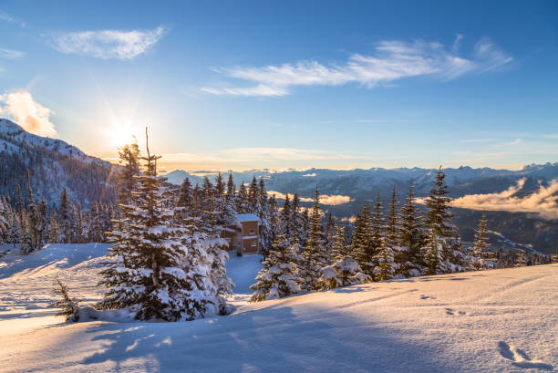 schneebedeckte bäume mit whistler creekside tal im hintergrund. - whistler britisch kolumbien stock-fotos und bilder