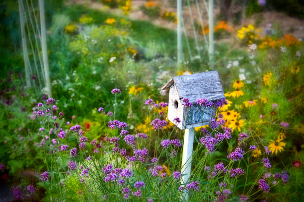 istock Birdhouse in Flower Garden 1034630156