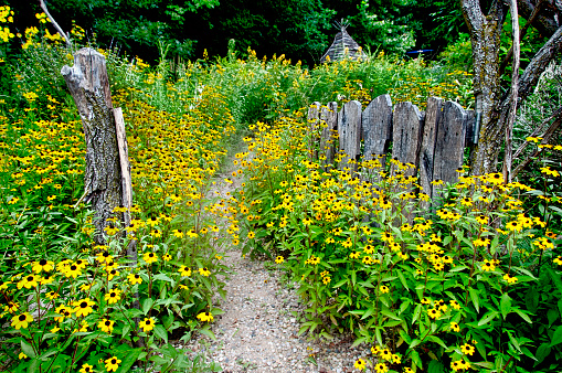 Path through Flowers and Gate