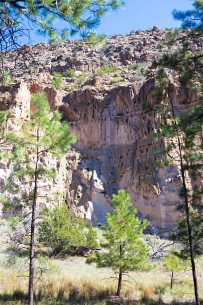 bandelier national monument, nm: felswand und bäume - bandelier national monument anasazi anasazi ruins photography stock-fotos und bilder