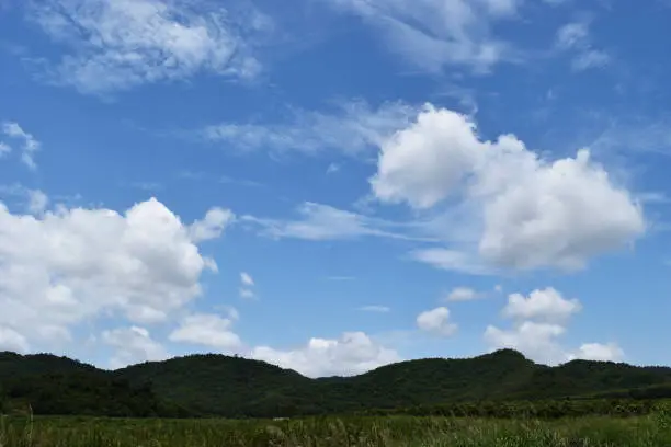 Photo of Cumulus cloud on beautiful blue sky above green field and mountain