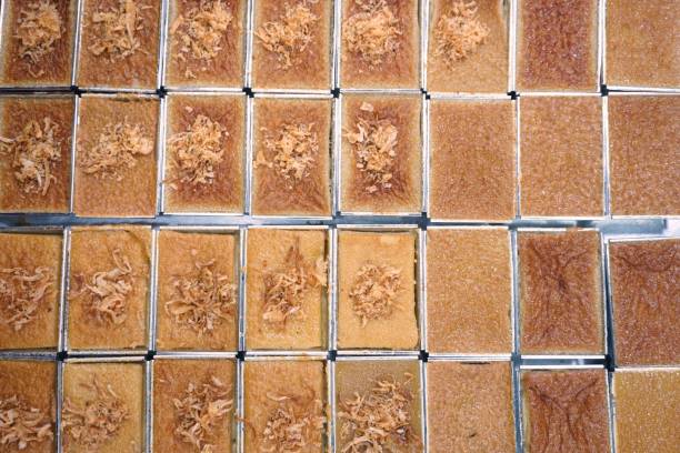 istock Mung Bean Thai Custard Dessert 1034660392