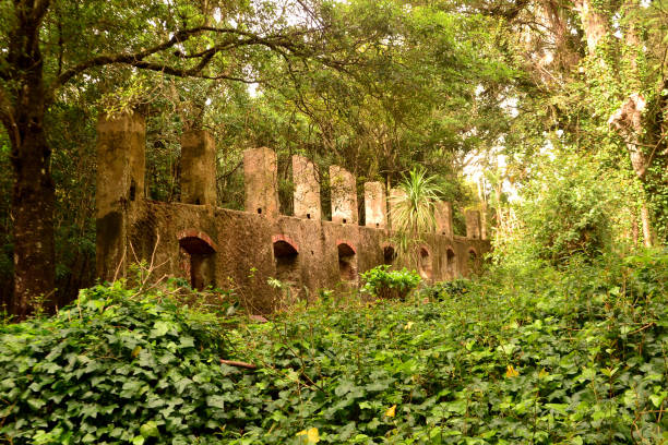 istock Arboretum lussich national park 1034671230