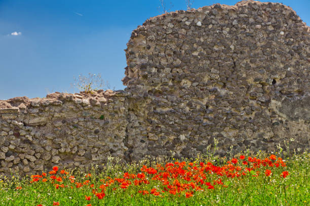 istock Stone wall in Pompeii, Italy 1034675778