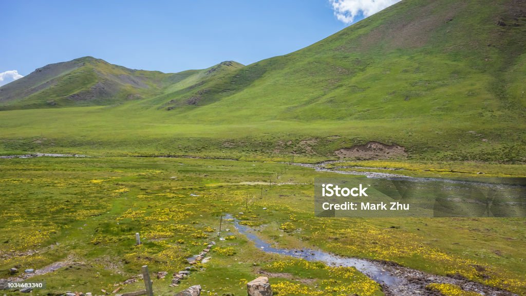 산 초원 근처 치 롄 칭하이 중국 0명에 대한 스톡 사진 및 기타 이미지 - 0명, 경관, 관광 - iStock 산 초원 근처 치 롄 칭하이 중국 0명에 대한 스톡 사진 및 기타 이미지 - 0명, 경관, 관광 - Istock