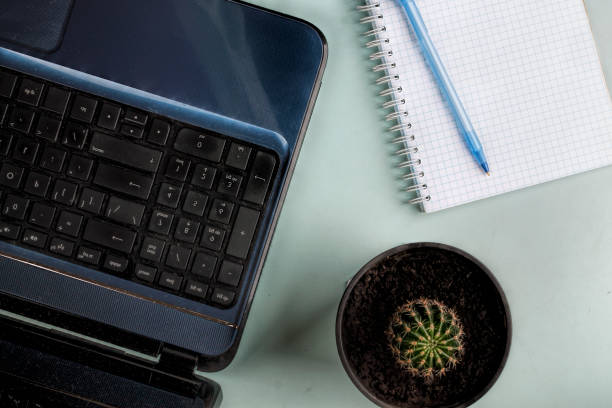 istock Flat lay, freelance, working space, work place, office, laptop, notebook, cactus, top view copy space 1034712694