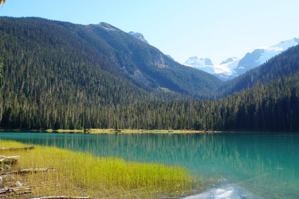 istock Lower Joffre Lake, Canada 1034716240