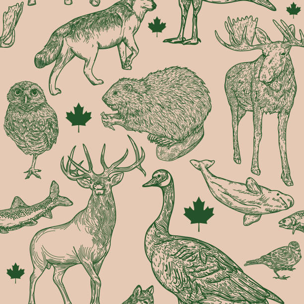 Canadiana Wildlife Seamless Pattern Super Canadian wildlife seamless pattern! Full of animals that are symbolic to Canada. Global colours, easy to edit, a great seamless tile for fabric, backgrounds, whatever! burrowing owl stock illustrations