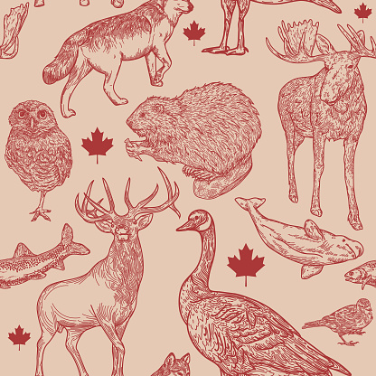 Super Canadian wildlife seamless pattern! Full of animals that are symbolic to Canada. Global colours, easy to edit, a great seamless tile for fabric, backgrounds, whatever!