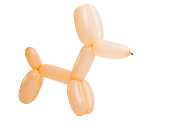 istock dog from a balloon isolated 1034718676