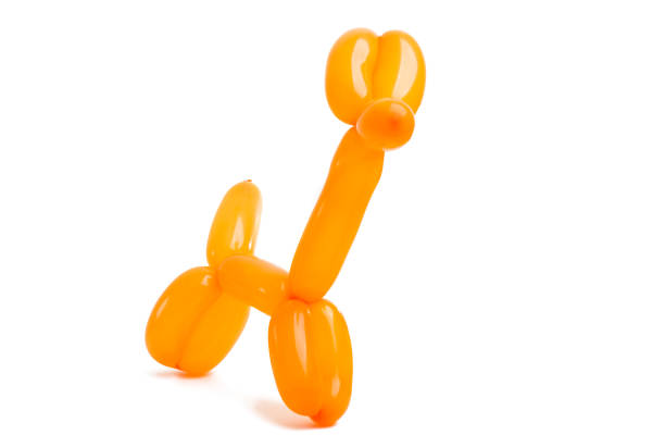 istock dog from a balloon isolated 1034721868