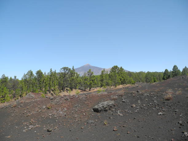 istock Pico del Teide, Tenerife 1034725128