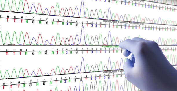 손으로 컴퓨터 화면에 게놈 dna 데이터입니다. 생물학과 연구입니다. - genetic screening 뉴스 사진 이미지