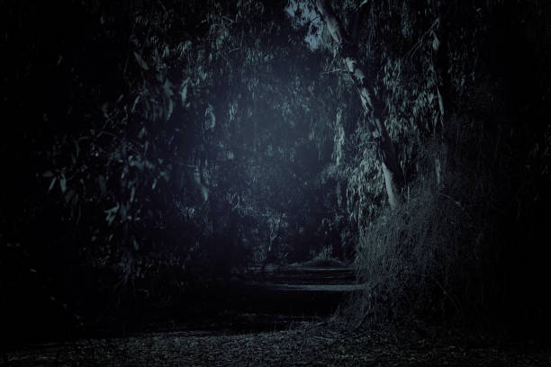 istock mysterious background of dark and haunted forest. 1034750458