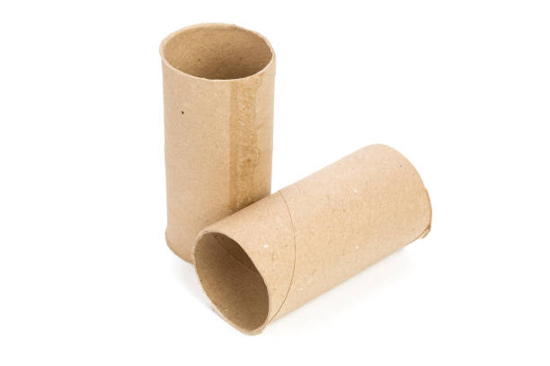 istock Empty toilet paper on white background 1034754300