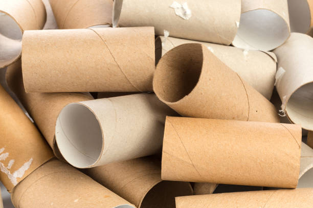 istock Empty toilet paper on white background 1034754524