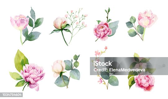 istock Watercolor vector set of bouquets of green branches and flowersset of bouquets of green branches and flowers. 1034754604