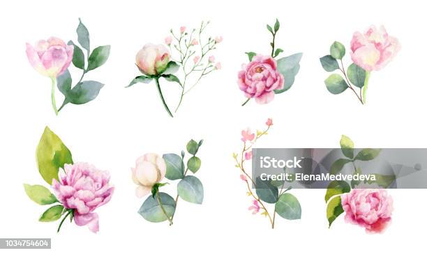 Watercolor Vector Set Of Bouquets Of Green Branches And Flowersset Of Bouquets Of Green Branches And Flowers Stock Illustration - Download Image Now