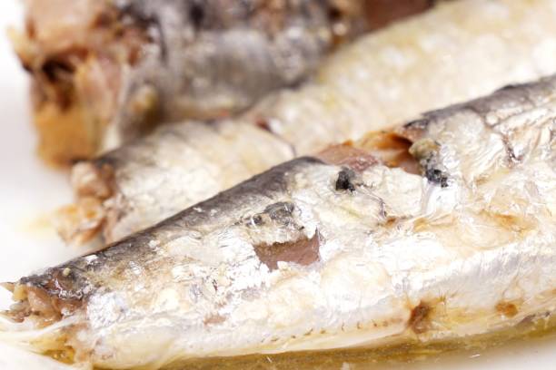 istock Canned sardines in brine 1034758350