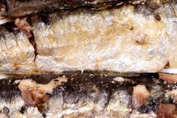 istock Canned sardines in brine 1034758392