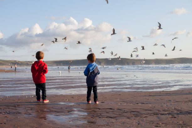istock Two adorable kids, feeding the seagulls on the beach 1034762244