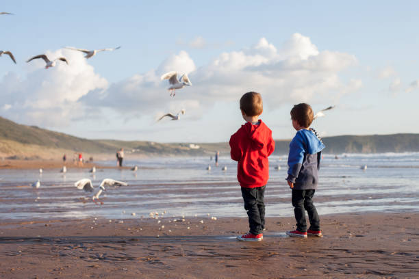 istock Two adorable kids, feeding the seagulls on the beach 1034762378
