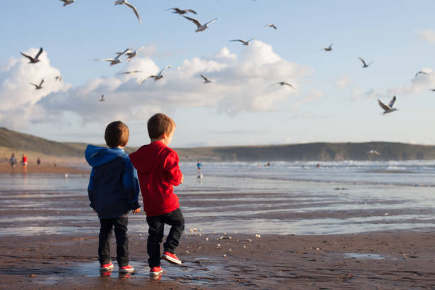 istock Two adorable kids, feeding the seagulls on the beach 1034762404