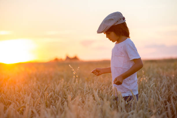 istock Cheerful child, boy, chasing soap bubbles in a wheat field on sunset 1034769454