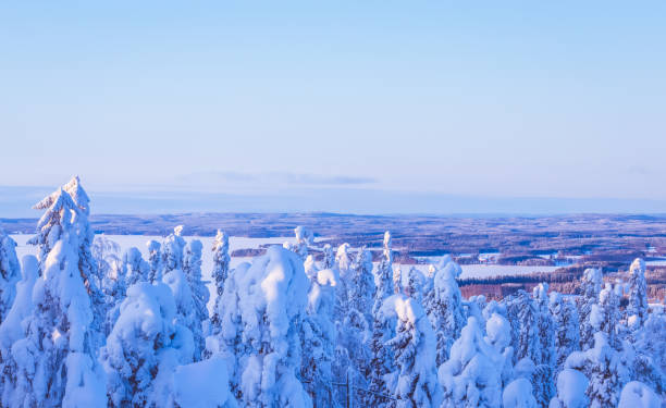 istock Heavy snow winter landscape from Sotkamo, Finland. 1034780130