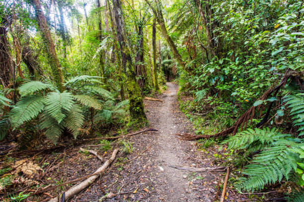 blue lake trail - long exposure imagens e fotografias de stock