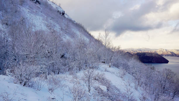 istock Winter at Hokkaido, Japan 1034786252