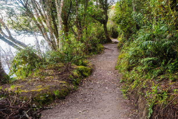 blue lake trail - long imagens e fotografias de stock