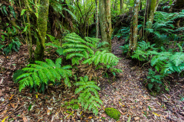 blue lake trail - long exposure imagens e fotografias de stock