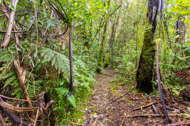 blue lake trail - long exposure imagens e fotografias de stock