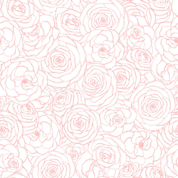 wektorowy bezszwowy wzór z różowymi kwiatami róży na białym tle. ręcznie rysowane kwiatowe powtarzające się ozdoby kwiatów w stylu szkicu. nadaje się do pakowania papieru, pokrowców, tekstyliów itp. - pattern flower backgrounds seamless stock illustrations