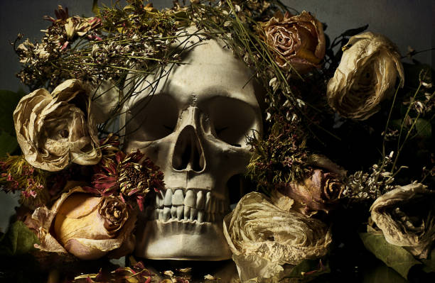 istock Skull with dried flowers, vanity 1034791500