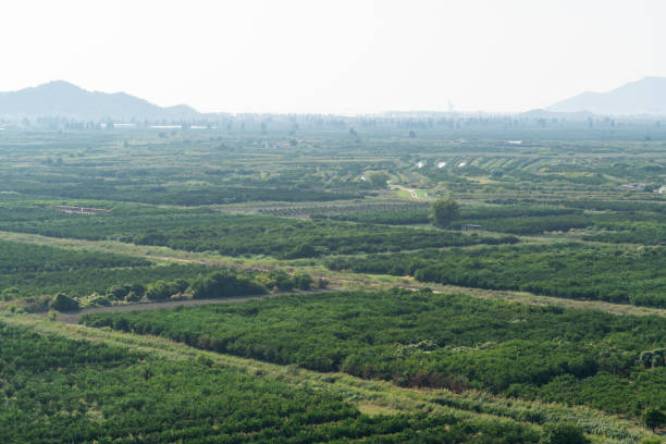 Top view of agricultural land. Valley of fields and fruit farms with irrigation system