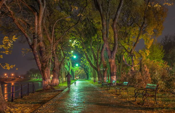Autumn in the city