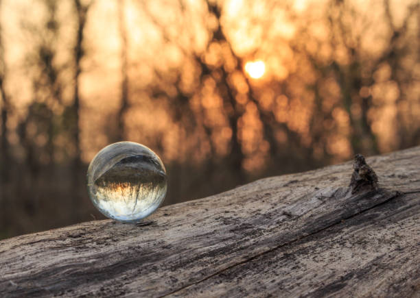 istock glass sphere sunset in the forest 1034808036
