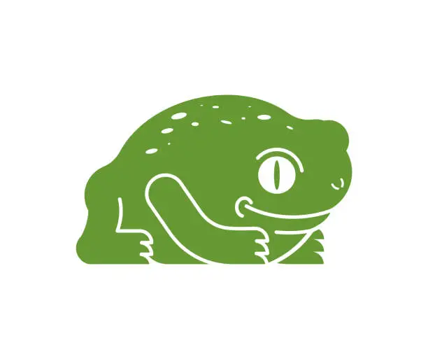 Vector illustration of Frog isolated. Toad on white background. Vector illustration.